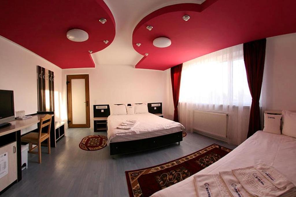 Pensiunea Soferul Norocos Bacau Room photo