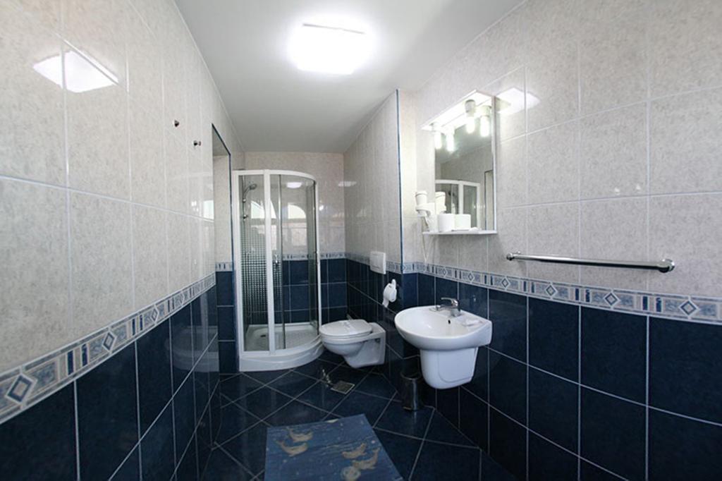 Pensiunea Soferul Norocos Bacau Room photo